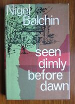 Seen Dimly Before Dawn
