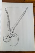 The History and Antiquities of the Deanery of Craven in the County of York - Third Edition
 Additional Image