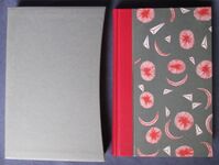 Gulliver’s Travels
 Additional Image