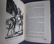 Horses, Horses, Horses: Palominos and Pintos, Polo Ponies and Plow Horses, Morgans and Mustangs
 Additional Image