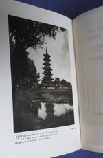 My Lady of the Chinese Courtyard
 Additional Image