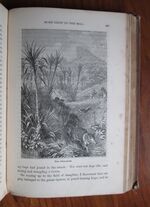 The Swiss Family Robinson; or, Adventures of a Shipwrecked Family on a Desolate Island
 Additional Image