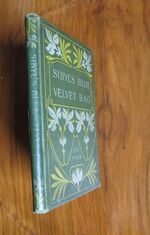 Sibyl's Blue Velvet Bag
