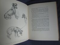 Just Pups: Sketches in Pen and Pencil
 Additional Image