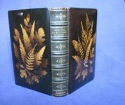 The Poetical Works of Sir Walter Scott
 Additional Image