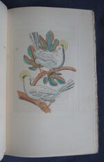 The Eastern Anthology Volume II / Eastern Love
 Additional Image