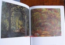 Monet in the 20th Century
 Additional Image