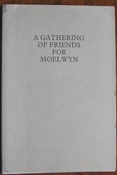 A Gathering of Friends For Moelwyn
