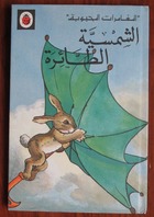 The Green Umbrella (Rhyming Stories)
