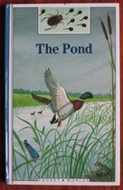 The Pond
