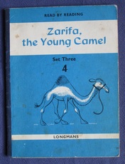 Zarifa, the Young Camel
