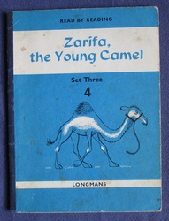 Zarifa, the Young Camel
