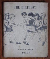 The Birthday: Pilot Reader Book 4
