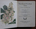 Wayside and Woodland Trees Pocket Guide to the British Sylva
