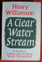 A Clear Water Stream
