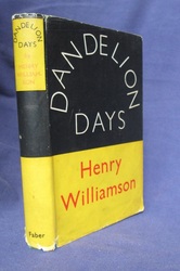 Dandelion Days
