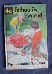Pethau i’w gwneud 4a - Cynllun Darllen  - Things We Do 4a Ladybird Keywords Reading Scheme in Welsh
