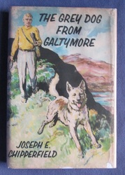 The Grey Dog from Galtymore
