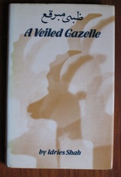 A Veiled Gazelle – Seeing How to See
