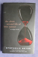 The Short Second life of Bree Tanner
