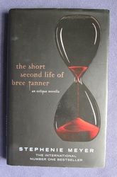 The Short Second life of Bree Tanner
