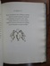 Some Greek Love-Poems gathered and translated, with a brief account of Greek Love-Poetry - Erotika
