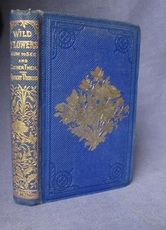 Wild Flowers: How to See and How to Gather Them
