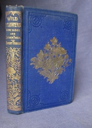 Wild Flowers: How to See and How to Gather Them
