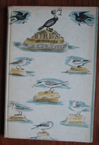 Birds of the Sea
