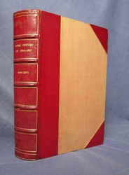 The Comic History of England
