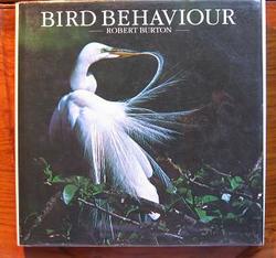 Bird Behaviour
